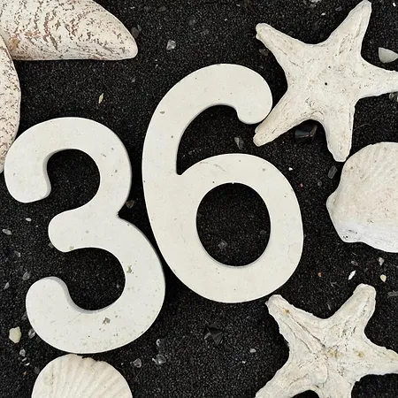 36 * Belgrad